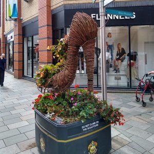 Meet your Posher, Lindsey